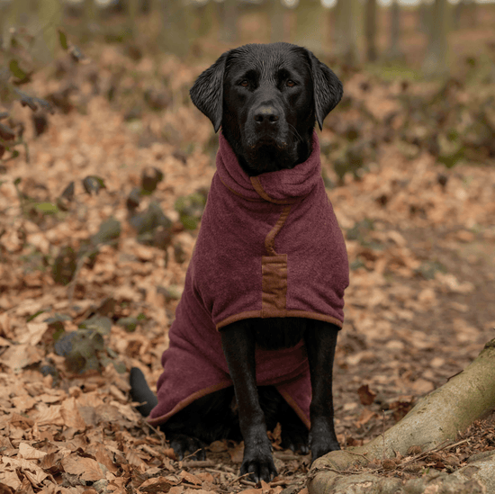 Ruff And Tumble Country Collection Dog Drying Coat in Burgundy