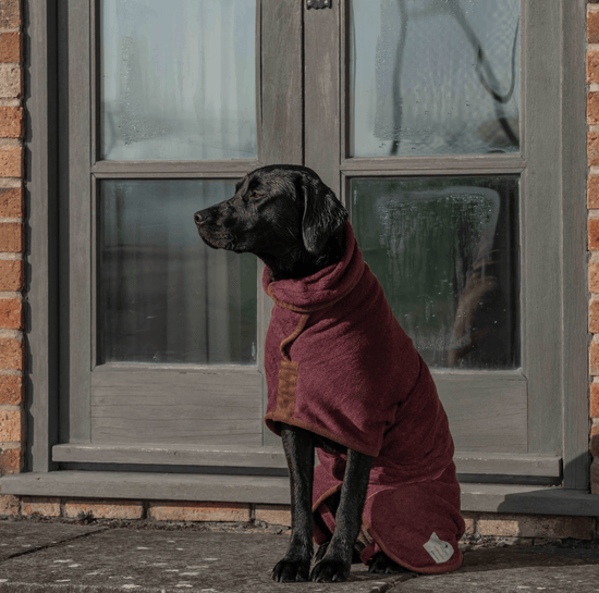 Ruff And Tumble Country Collection Dog Drying Coat in Burgundy