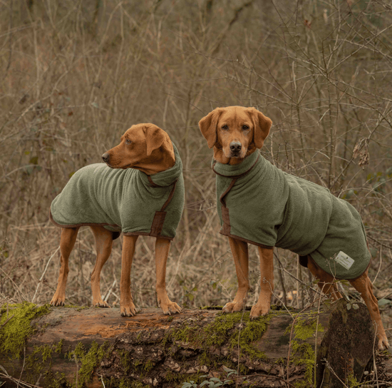 Ruff And Tumble Country Collection Dog Drying Coat in Moss Green