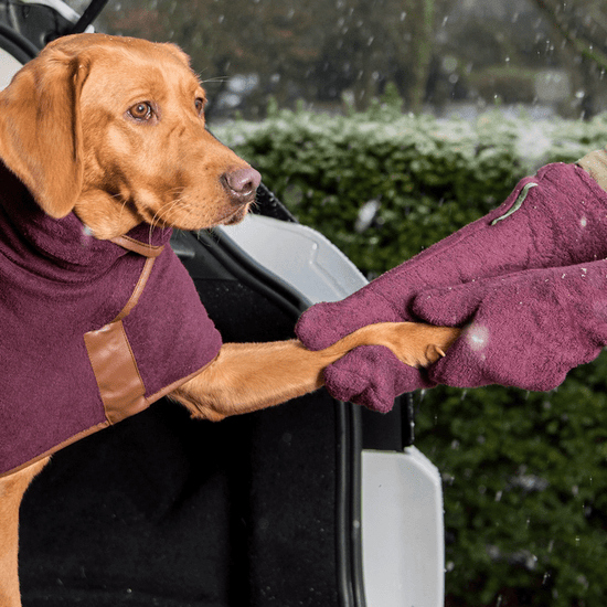 Ruff and Tumble Dog Drying Gloves in Burgundy