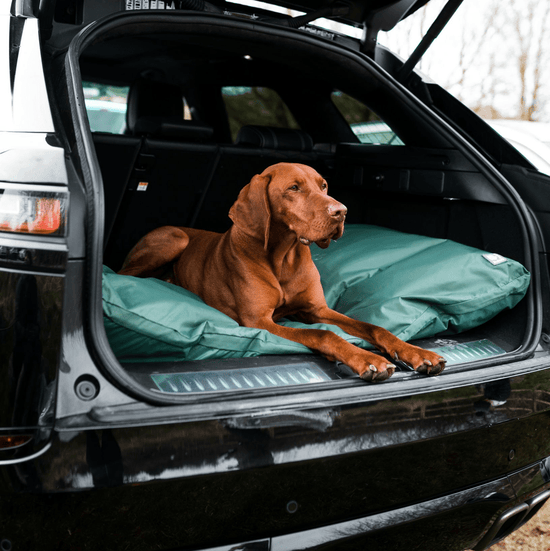 County Waterproof Deep Filled Dog Bed by Danish Design
