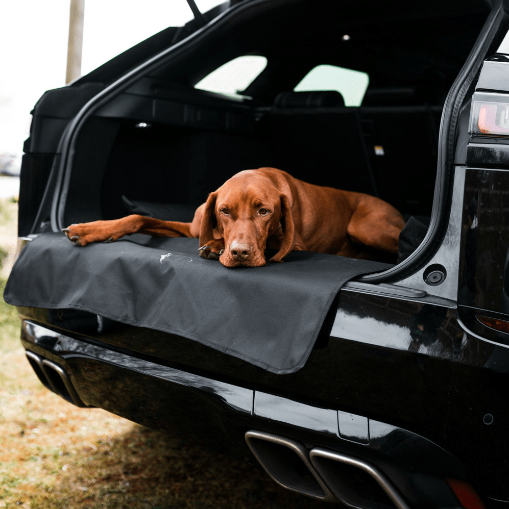 Car Boot Dog Bed by Danish Design
