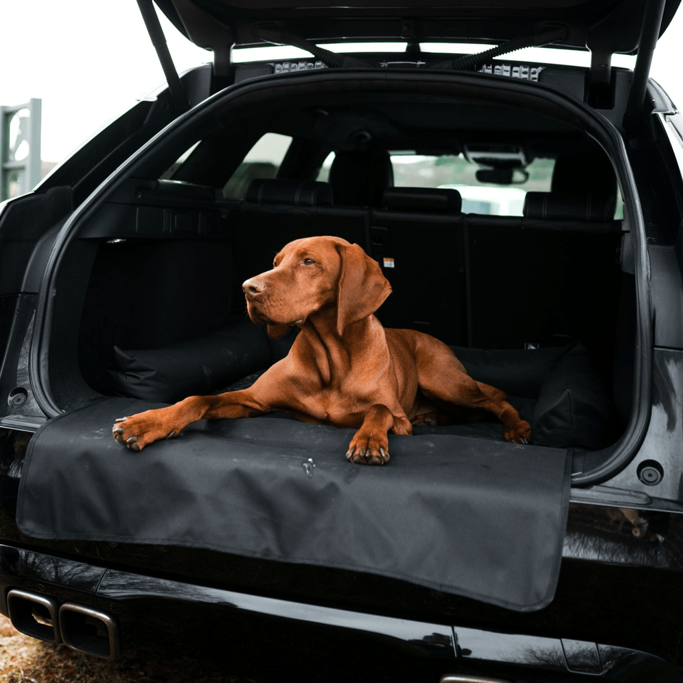 Car Boot Dog Bed by Danish Design