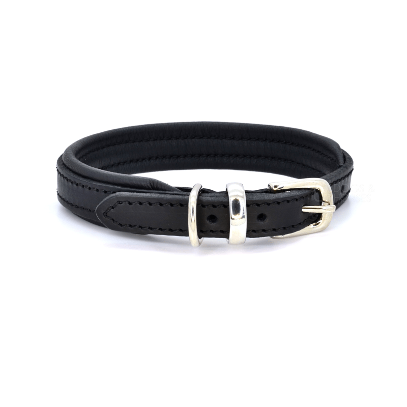 Luxury Black Padded Leather Dog Collar by Dogs & Horses