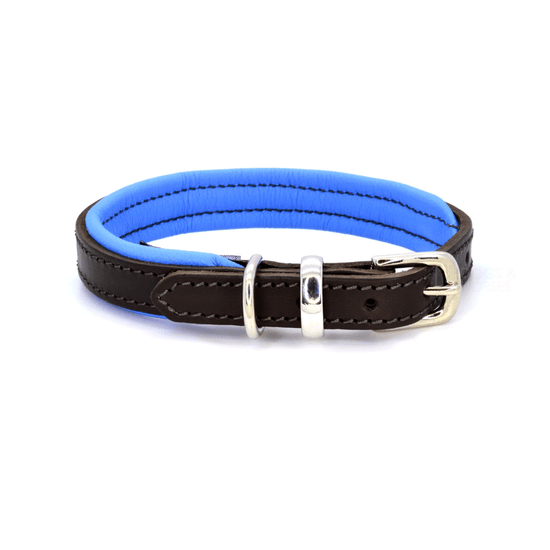Luxury Blue Padded Leather Dog Collar by Dogs & Horses
