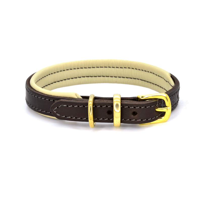 Luxury Brown and Cream Padded Leather Dog Collar by Dogs & Horses