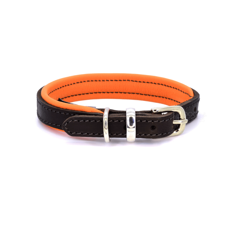 Luxury Orange Padded Leather Dog Collar by Dogs & Horses