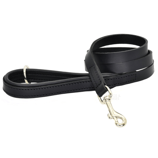 Dogs & Horses Luxury Black Padded Leather Dog Lead