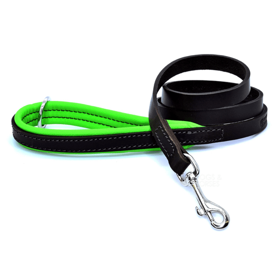 Dogs & Horses Luxury Green Padded Leather Dog Lead