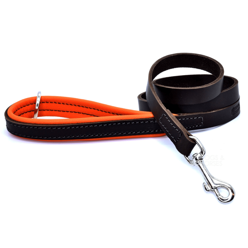 Dogs & Horses Luxury Orange Padded Leather Dog Lead