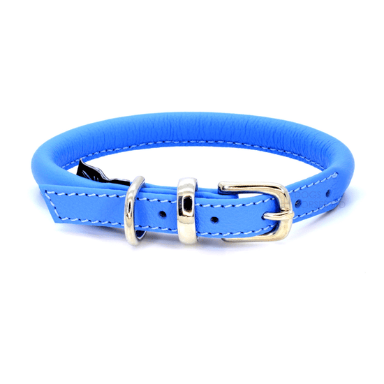 Blue Rolled Leather Dog Collar by Dogs & Horses