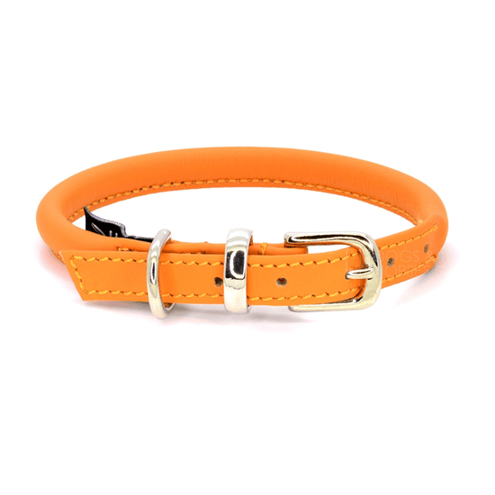 Orange Rolled Leather Dog Collar by Dogs & Horses