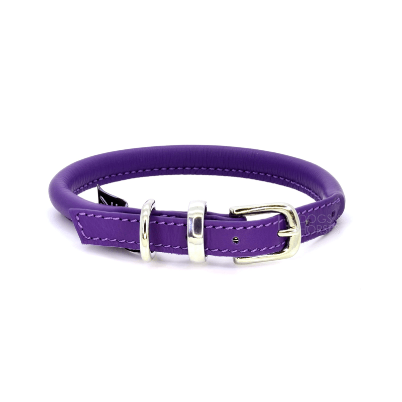 Purple Rolled Leather Dog Collar by Dogs & Horses