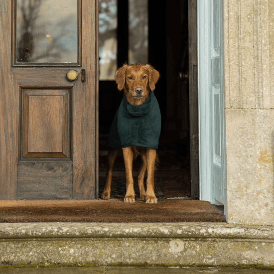 Ruff And Tumble Classic Dog Drying Coat in Forest Green