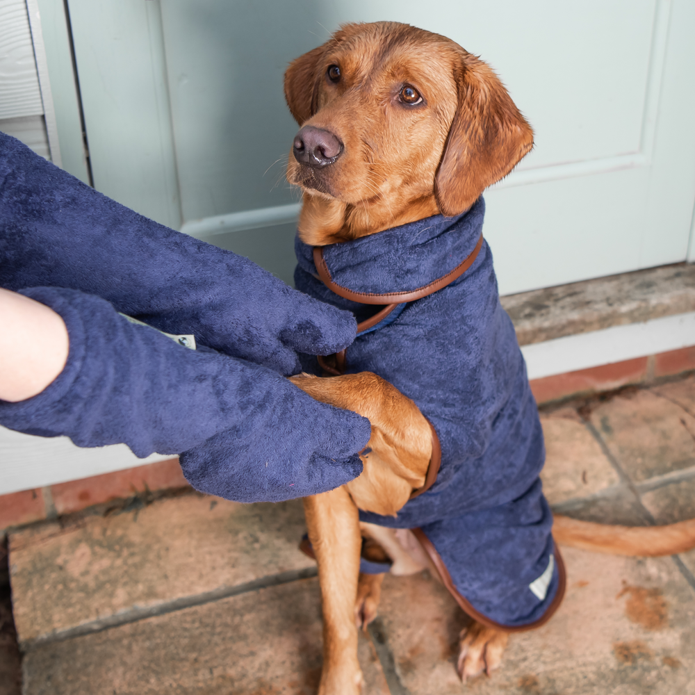 Ruff and Tumble Dog Drying Gloves in French Navy