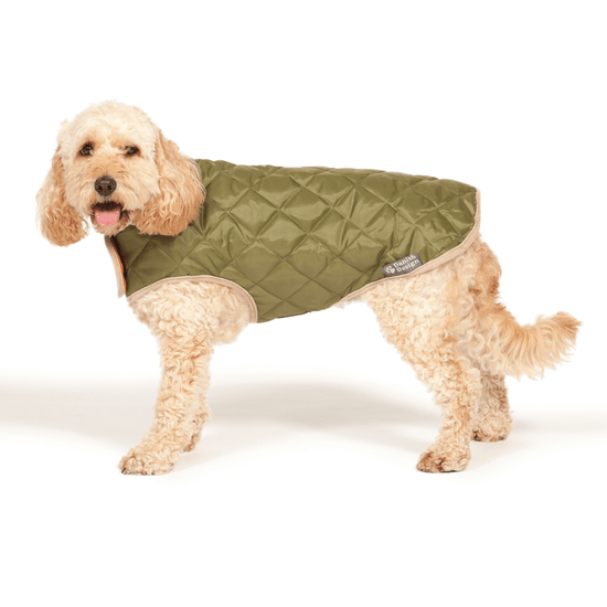 Load image into Gallery viewer, Danish Design Showerproof Quilted Dog Coat in Green
