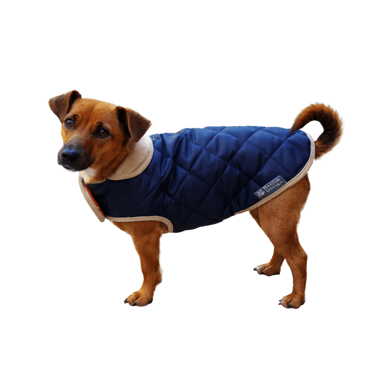 Danish Design Showerproof Quilted Dog Coat in Navy