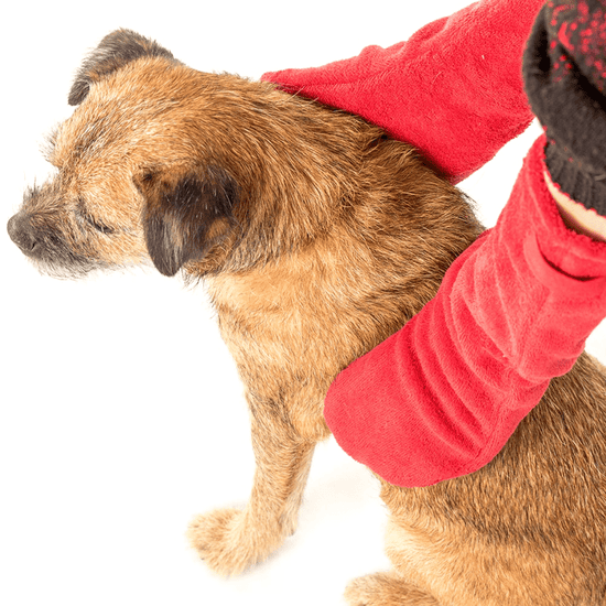 Ruff and Tumble Dog Drying Gloves in Red