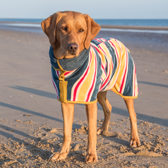 Ruff And Tumble Design Collection Dog Drying Coat - Beach