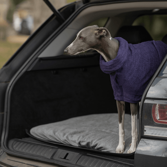 Ruff And Tumble Classic Dog Drying Coat in Blackberry Purple