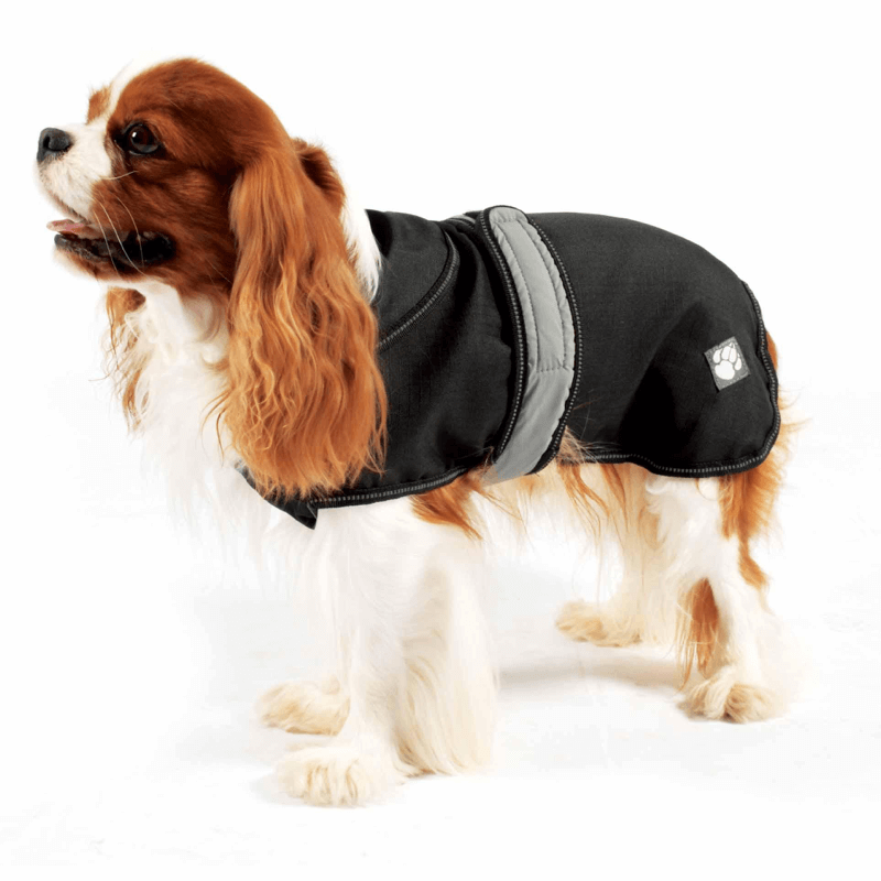 The Ultimate 2 in 1 Waterproof Dog Coat in Black