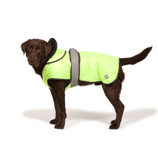The Ultimate 2 in 1 Waterproof Dog Coat in High Vis Yellow