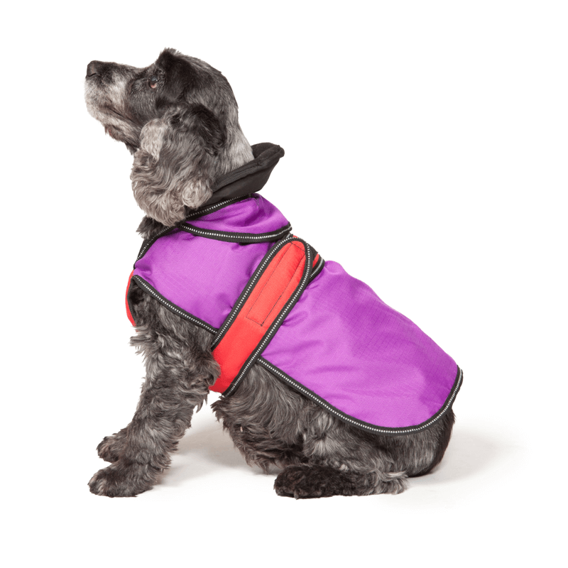 The Ultimate 2 in 1 Waterproof Dog Coat in Purple