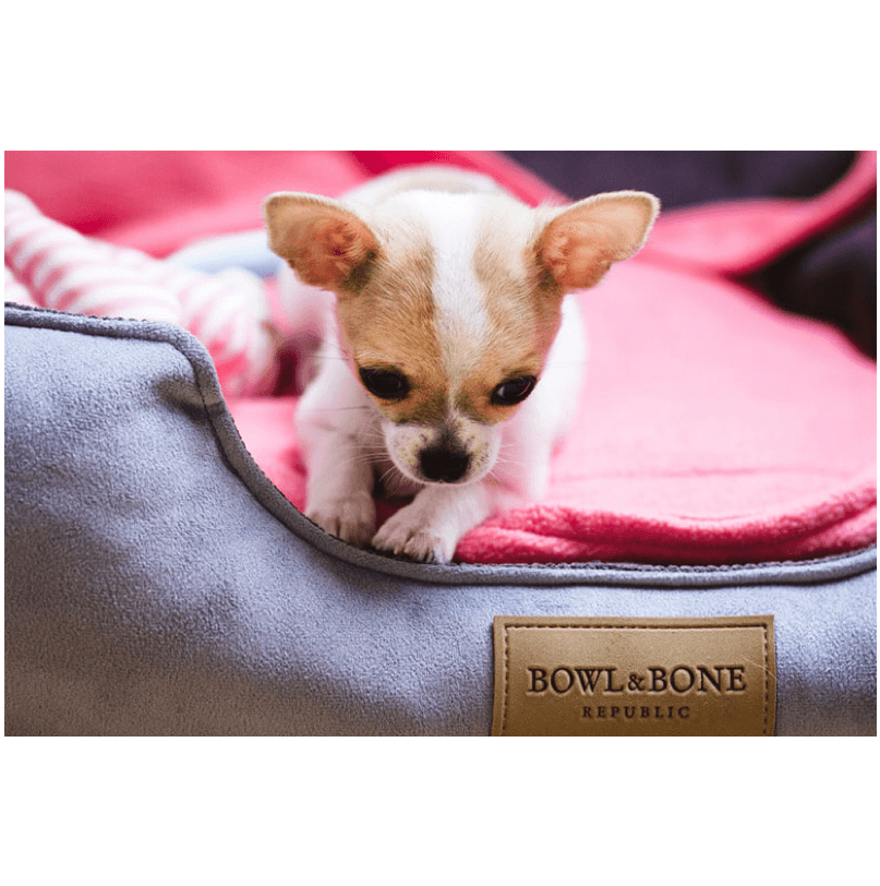 Load image into Gallery viewer, Bowl and Bone Classic Dog Bed in Grey
