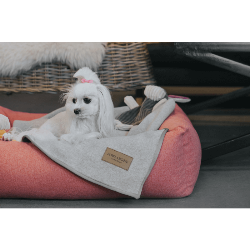 Load image into Gallery viewer, Bowl and Bone Loft Dog Bed in Coral Pink
