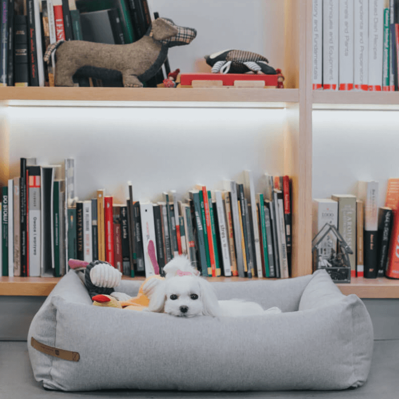 Bowl and Bone Loft Dog Bed in Pale Grey