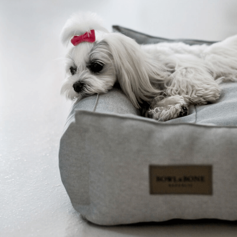 Bowl and Bone Urban Dog Bed in Pale Grey