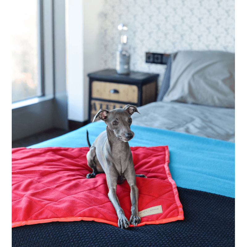 Load image into Gallery viewer, Bowl and Bone Royal Dog Blanket
