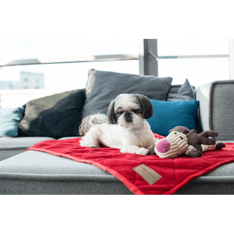 Load image into Gallery viewer, Bowl and Bone Royal Dog Blanket
