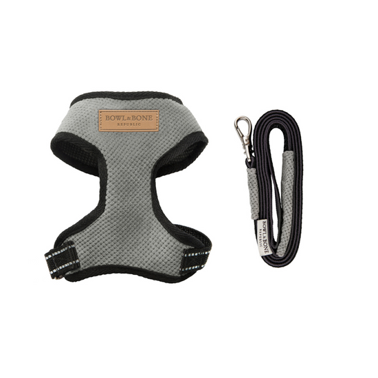 Bowl and Bone Candy Grey Dog Harness and Lead Set
