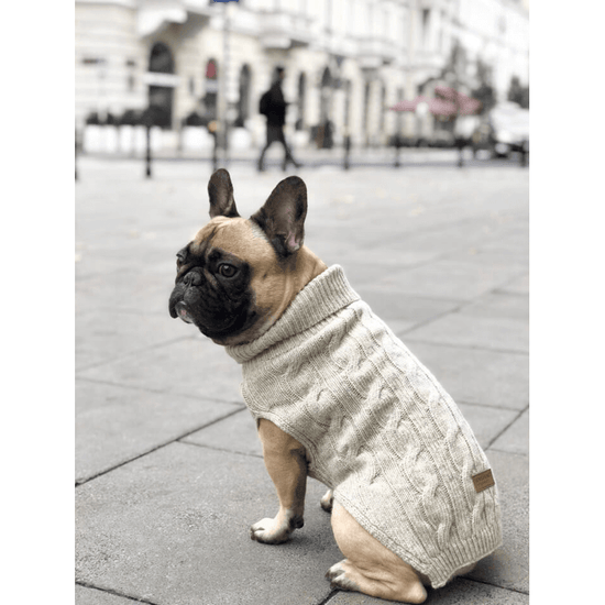 Bowl and Bone Aspen Ecru Dog Pullover