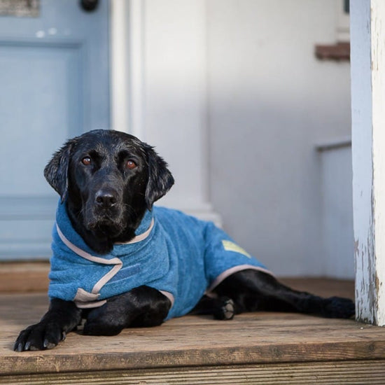 Ruff And Tumble Classic Dog Drying Coat in Sandringham Blue