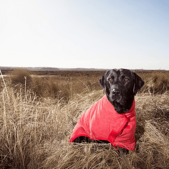 Ruff And Tumble Classic Dog Drying Coat in Red
